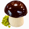 Borowik